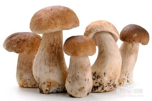 2018高丽大学世界排名【xingkong.com】(图2) 星空官网登录