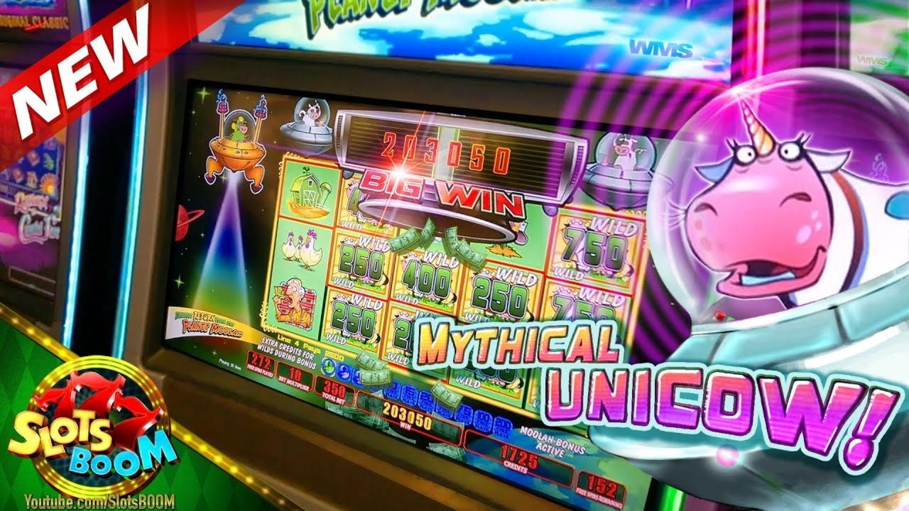 “星空体育官网”冷鲜鸡能否取而代之“活杀鸡”?(图1) 星空体育官网