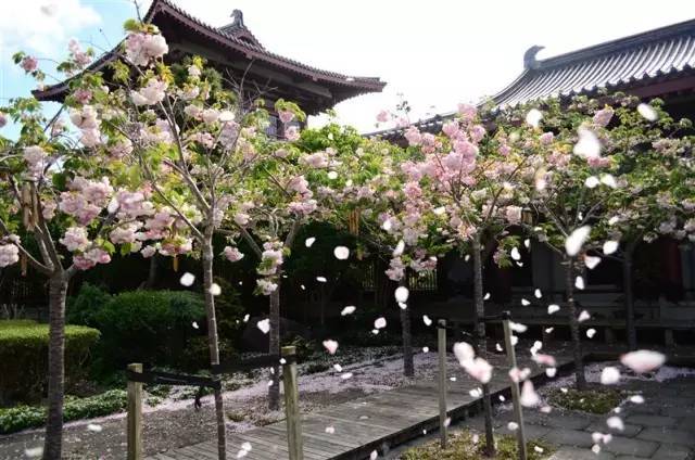 梅城镇:一双手绘鞋,一段战“疫”情“星空官网登录”(图3) 星空体育官网