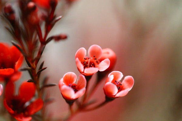 统筹兼顾 精准施策 推动畜牧业可连续生长:xingkong.com(图3) 星空体育官网