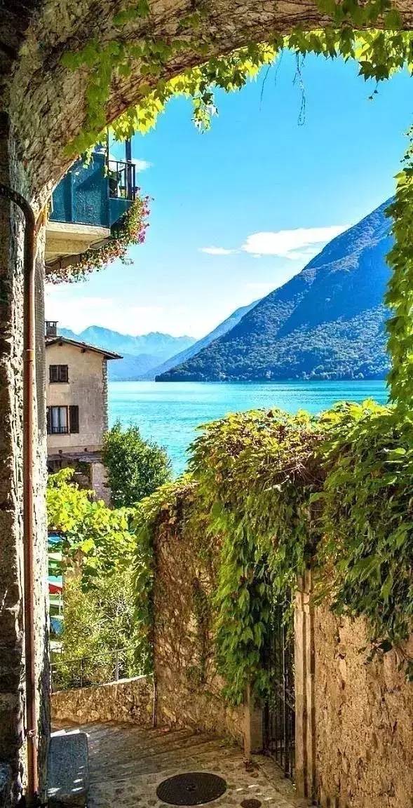 xingkong体育官网登录_H5N6禽流感已杀入香港(图1) xingkong体育官网登录_H5N6禽流感已杀入香港(图1)