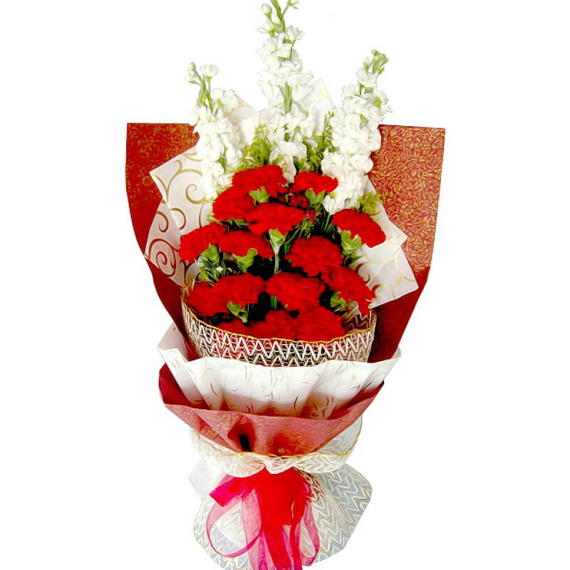 xingkong.com-受广东猪影响广西猪价震荡急跌(图1)