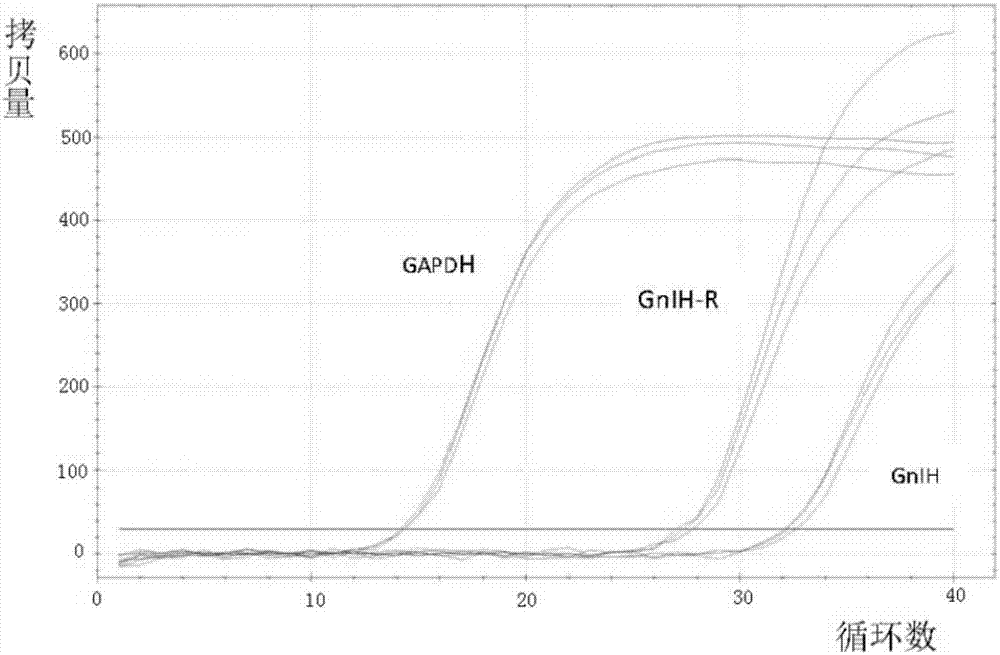 xingkong体育官网登录