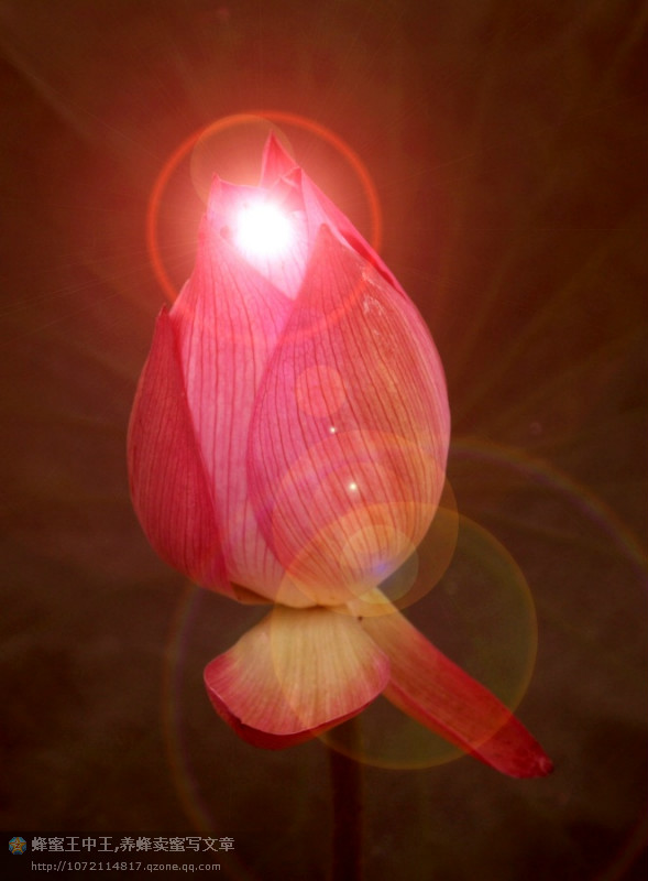 xingkong体育官网登录