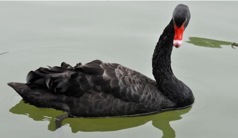 袭击大陆记者付国豪的香港女暴徒被判刑46月(图)‘星空官网登录’(图2)