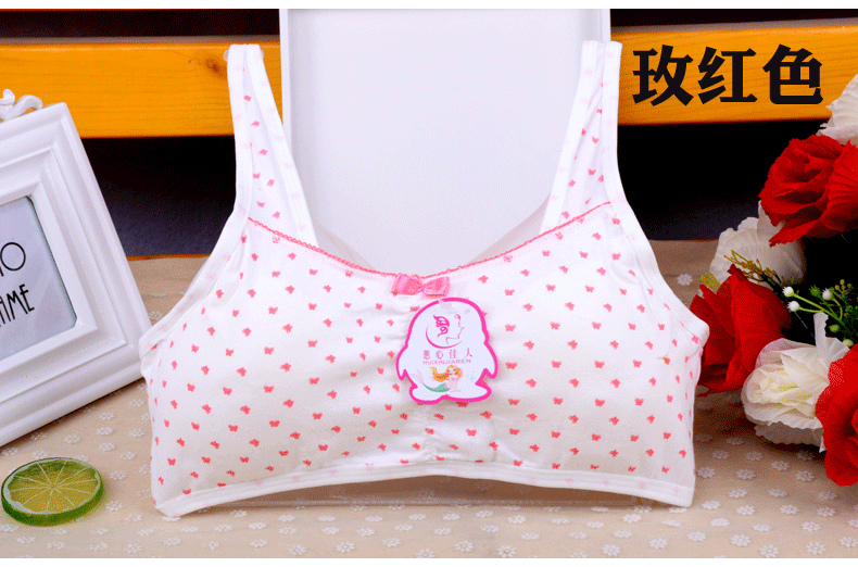 xingkong体育官网登录