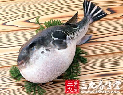 ‘xingkong.com’宝华洲社区:学习中国功夫 弘扬中华武术(图2) ‘xingkong.com’宝华洲社区:学习中国功夫 弘扬中华武术(图2)