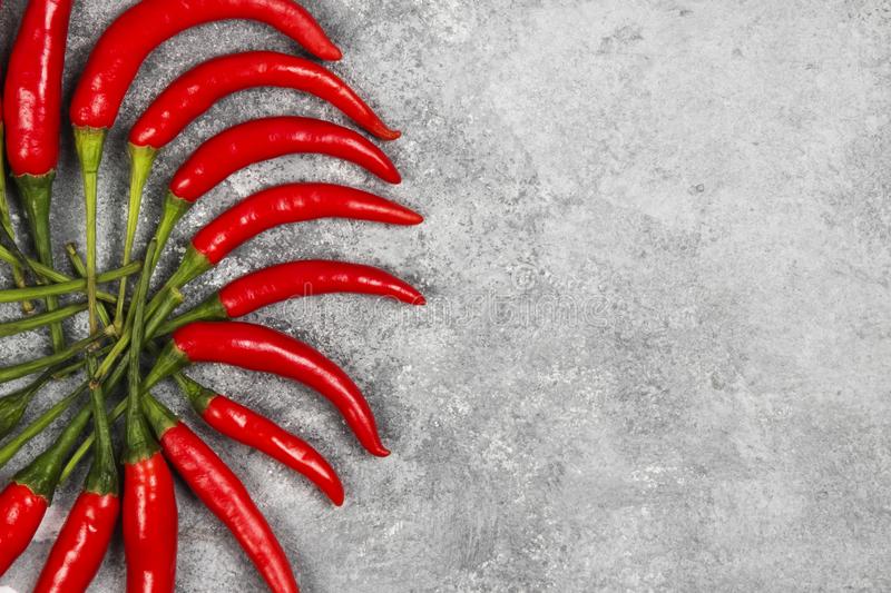 xingkong体育官网登录