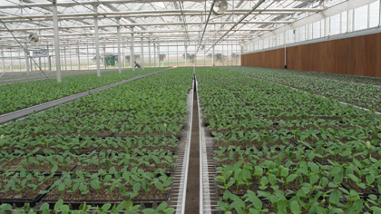 xingkong体育官网登录