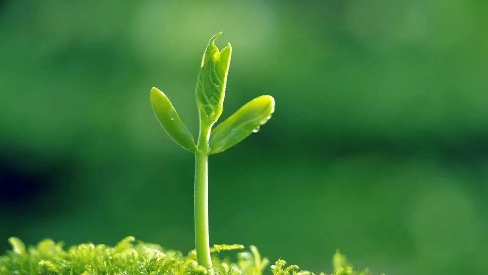 xingkong体育官网登录