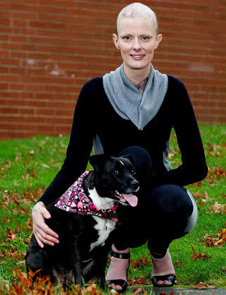 德州市生态畜牧业发展调查【星空官网登录】(图2)