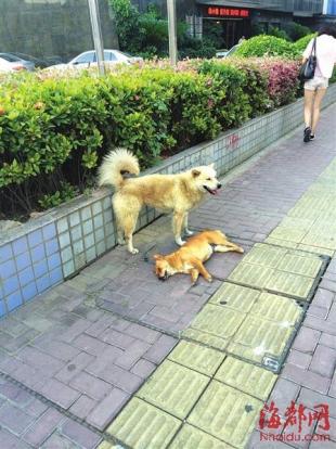 xingkong体育官网登录-
我军四位良好的军事统帅 为何对这支队伍 都给予了很高的评价(图3)