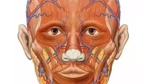 热烈祝贺山西神龙应用技术有限公司入驻全球品牌畜牧网!-xingkong.com(图1) xingkong体育官网登录