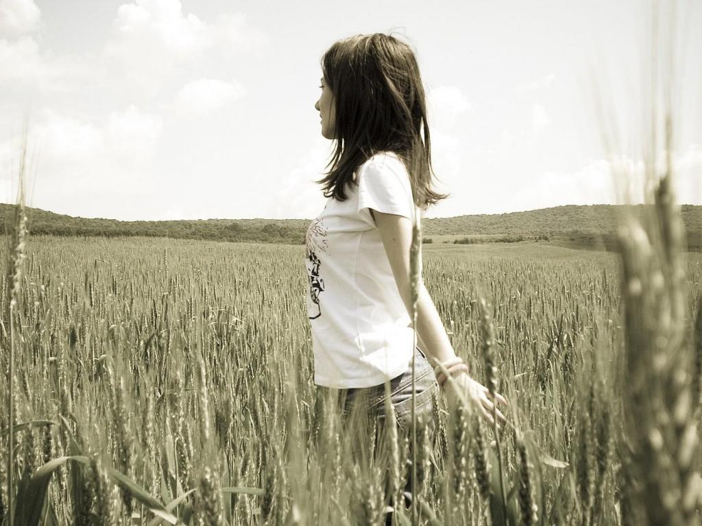 xingkong体育官网登录：外媒关注：朝鲜要求美国年底前转变敌视政策(图1)