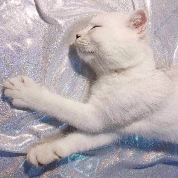 【星空官网登录】梅花社区：切实做好上门入户拆违宣传工作(图2)