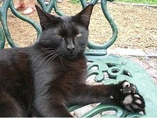 xingkong体育官网登录