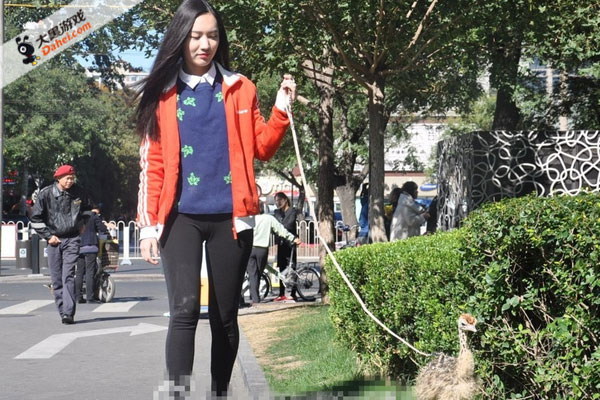 “星空体育官网”反垄断能否管住“洋奶粉”？(图1)